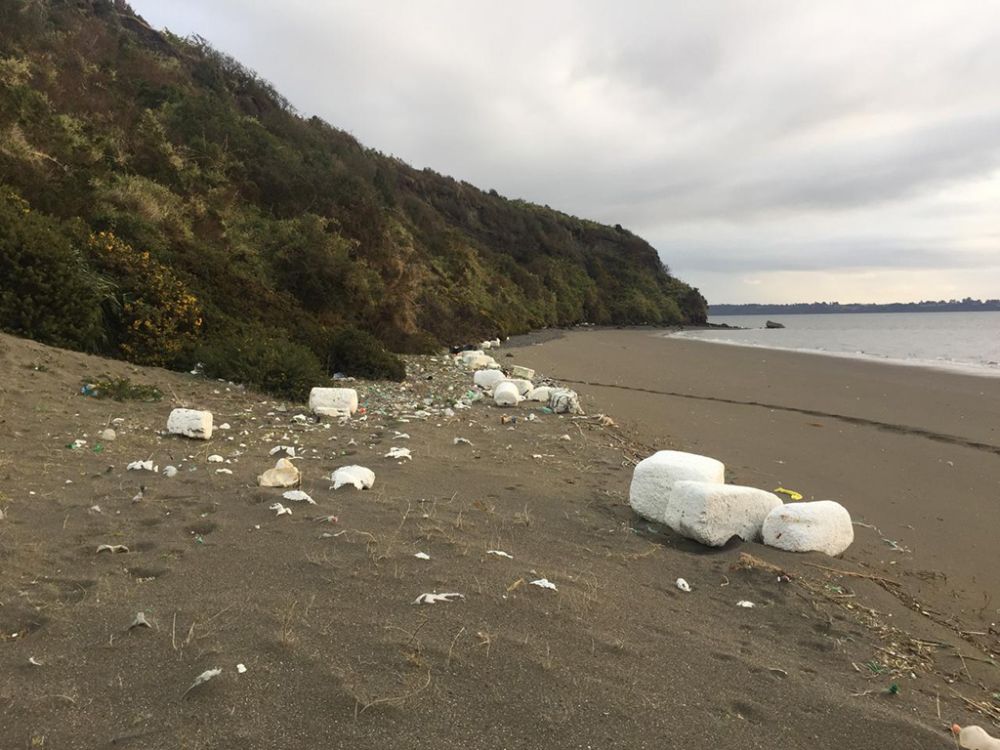 Las tensiones que envuelven al plástico son recurrentes, porque es uno de los insumos más económicos y eficientes. El problema, según el profesor Palza, es la mala gestión de sus residuos que termina contaminando el mar y las grandes cantidades de consumo de este material.